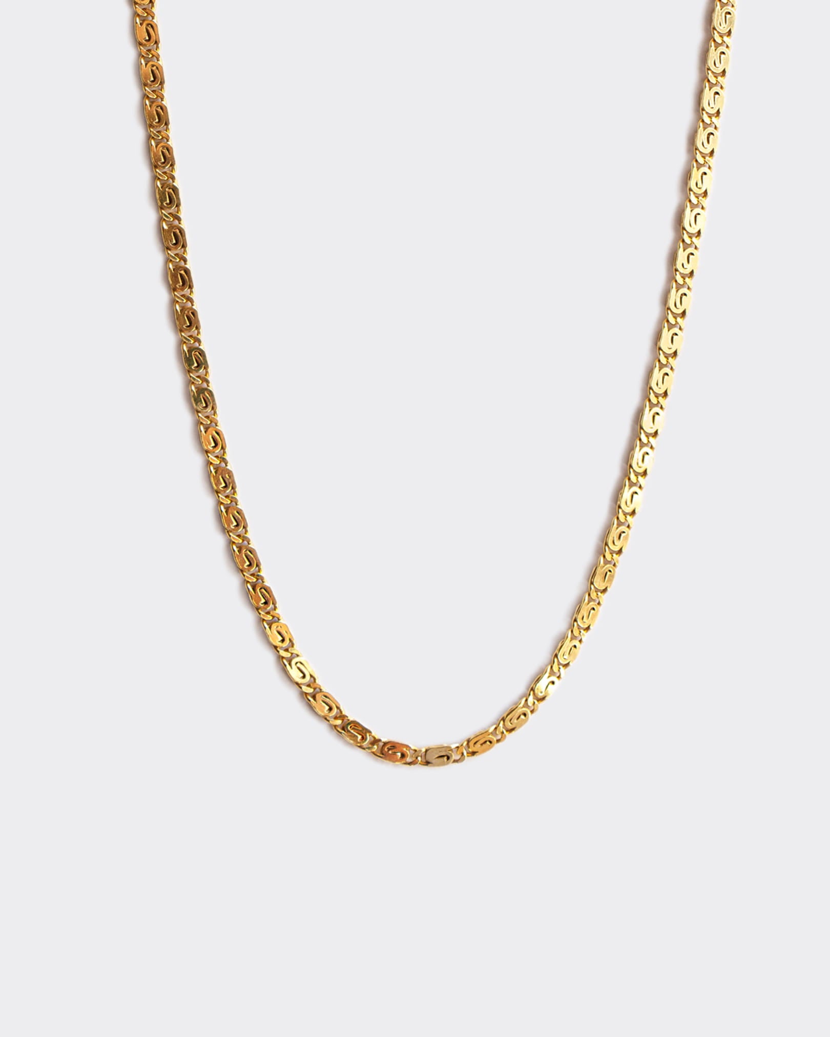 THE SNAIL CHAIN