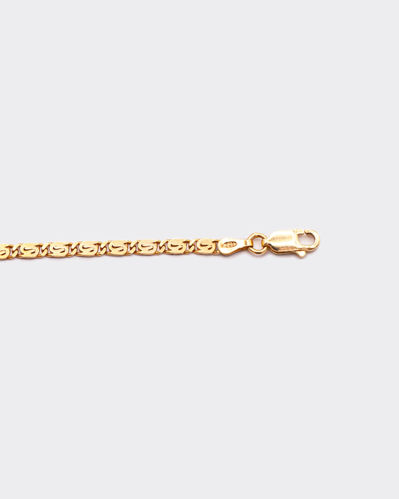 THE SNAIL CHAIN
