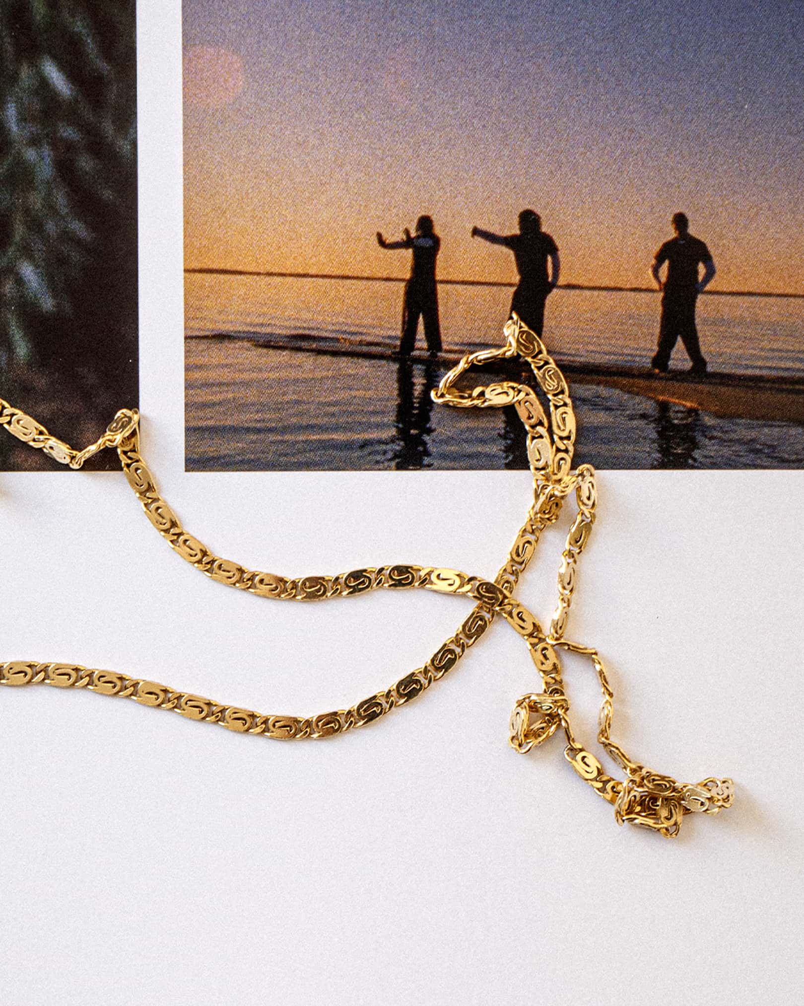 THE SNAIL CHAIN