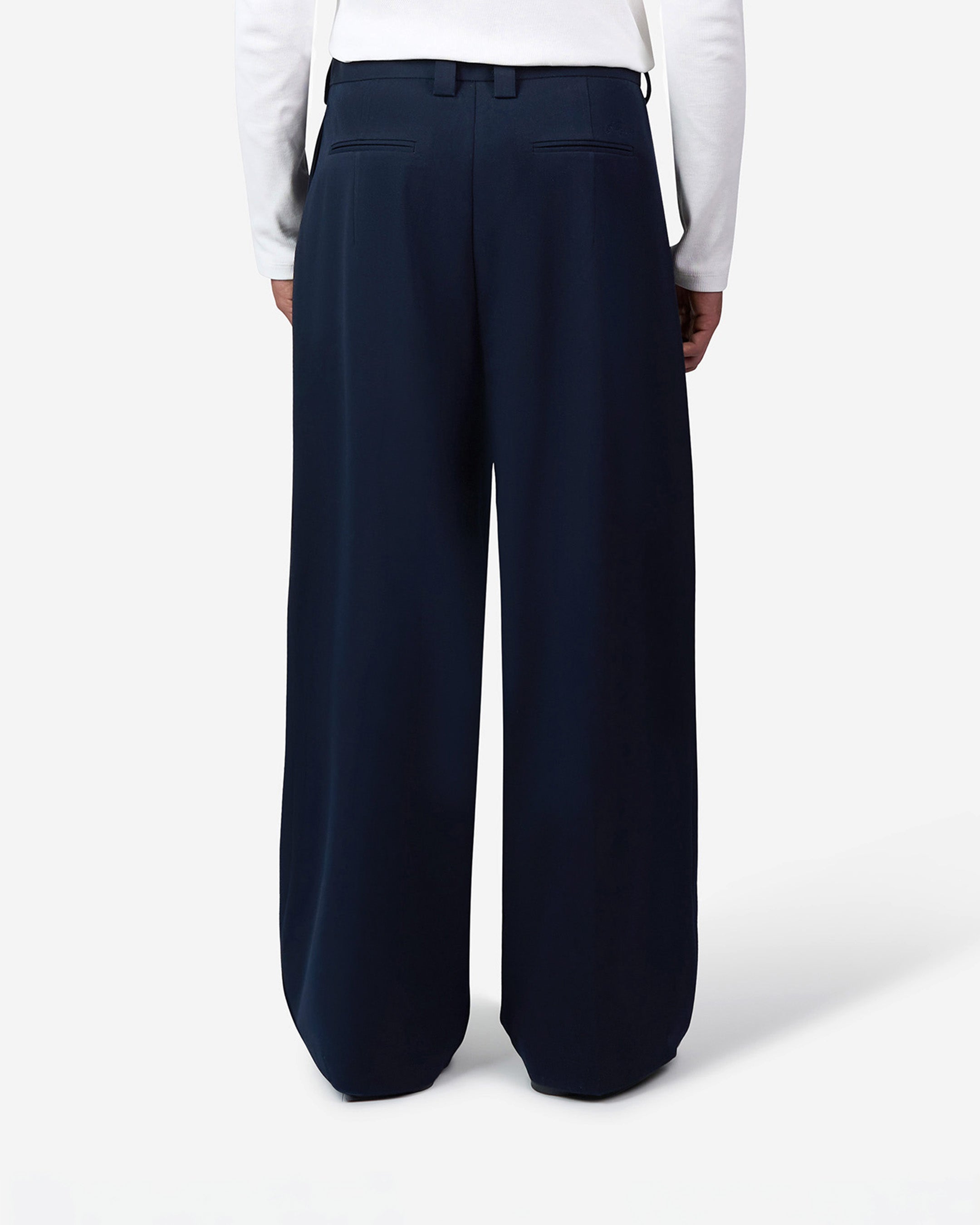 Ambra Pleated Loose-Fit Pants